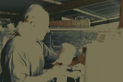 Historia pewnej rzaby